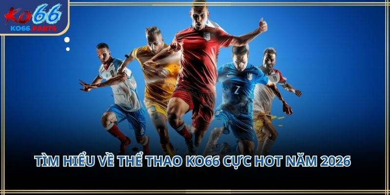 Thể thao KO66 – Không gian kết nối đam mê thể thao