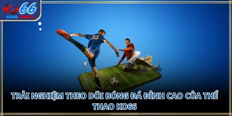 Thể thao KO66 – Không gian kết nối đam mê thể thao